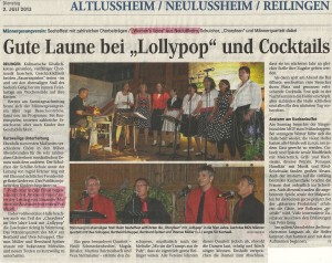 Schwetzinger Zeitung 02.07.2013